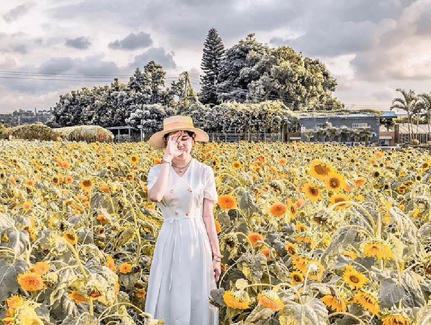 中社觀光花市花海:中社觀光花市為大型休閒觀光花卉農場,園區有各式花卉觀賞區、育苗栽培區、花卉盆栽區、四季花海區、蓮花田、草莓園區、大型烤肉區等, 一年四季都有美麗的花可以欣賞,像是香水百合、鬱金香、彩色海芋、菊花、玫瑰、荷花等各種花卉,在這裡也是很多婚社業者取景的好地方。