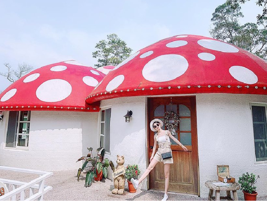 苗栗蘇維拉莊園:園區內有很多夢幻森林樹屋還有超可愛的蘑菇屋!!還有最吸引許多不管是大人還是小孩都愛的森林超長溜滑梯跟侏儸紀大恐龍,在戶外還有規劃小朋友最愛的 沙池區,園區下方還有瀑布以及3D彩繪圖。