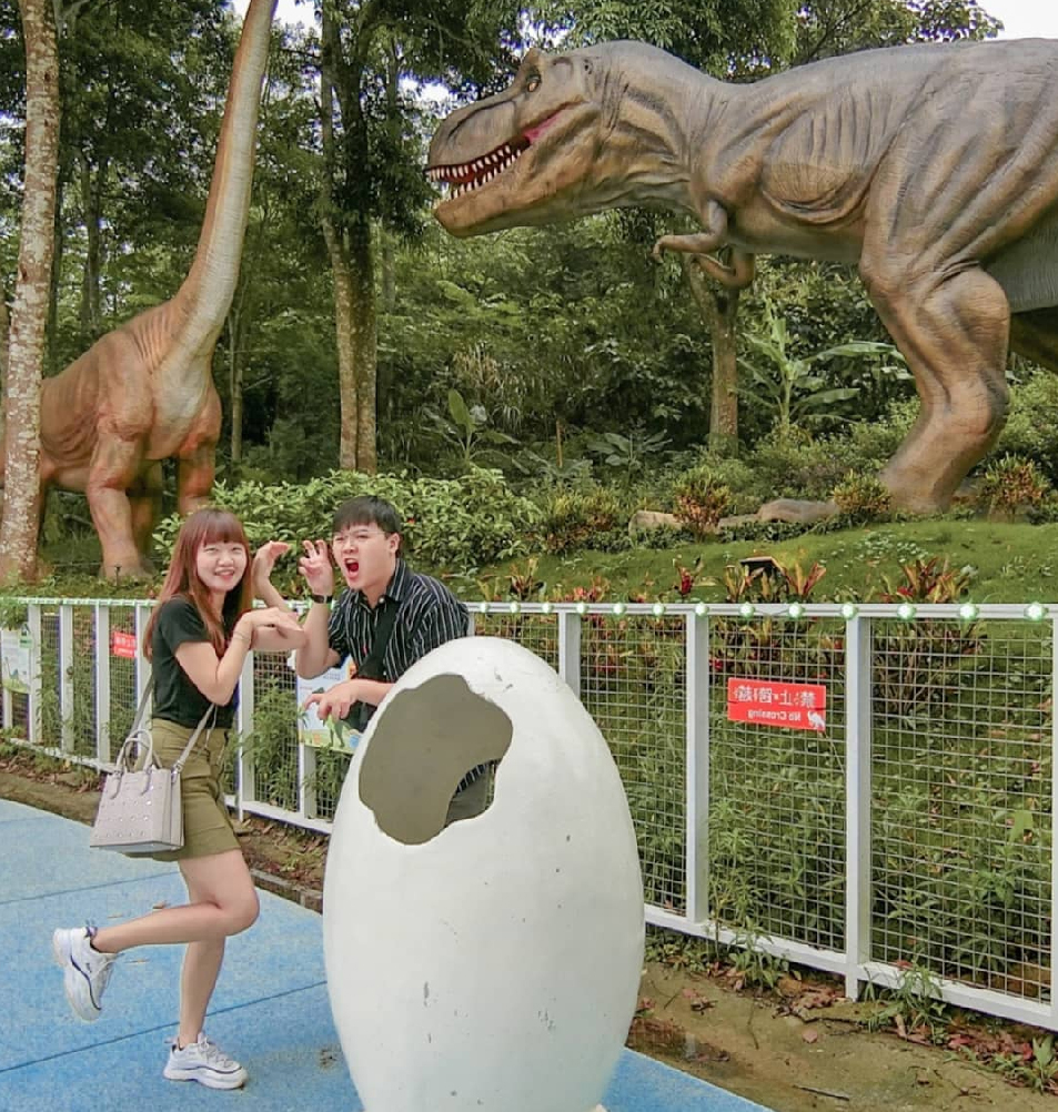 苗栗蘇維拉莊園:園區內有很多夢幻森林樹屋還有超可愛的蘑菇屋!!還有最吸引許多不管是大人還是小孩都愛的森林超長溜滑梯跟侏儸紀大恐龍,在戶外還有規劃小朋友最愛的 沙池區,園區下方還有瀑布以及3D彩繪圖。