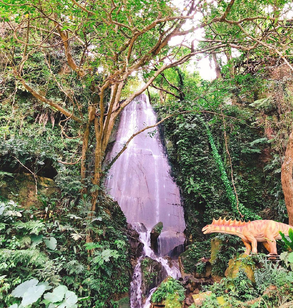 苗栗蘇維拉莊園:園區內有很多夢幻森林樹屋還有超可愛的蘑菇屋!!還有最吸引許多不管是大人還是小孩都愛的森林超長溜滑梯跟侏儸紀大恐龍,在戶外還有規劃小朋友最愛的 沙池區,園區下方還有瀑布以及3D彩繪圖。