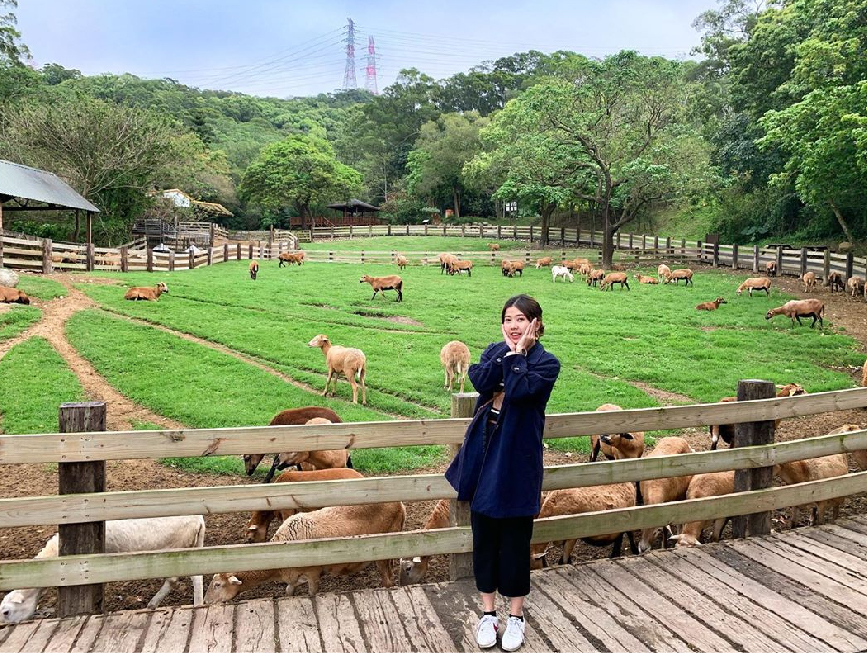 苗栗飛牛牧場:飛牛牧場位於苗栗縣通霄鎮,牧場佔地非常廣分為乳牛生態區、蝴蝶生態區、可愛動物區等,除了在園區可以看到許多可愛的牛牛 之外還有手做DIY可以體驗等,門票還可以免費兌換乳製品乙杯呦!